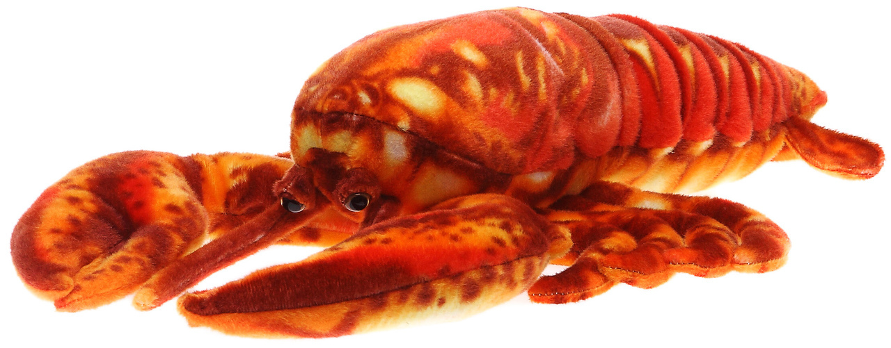 Count Crustáceo de Cozumel